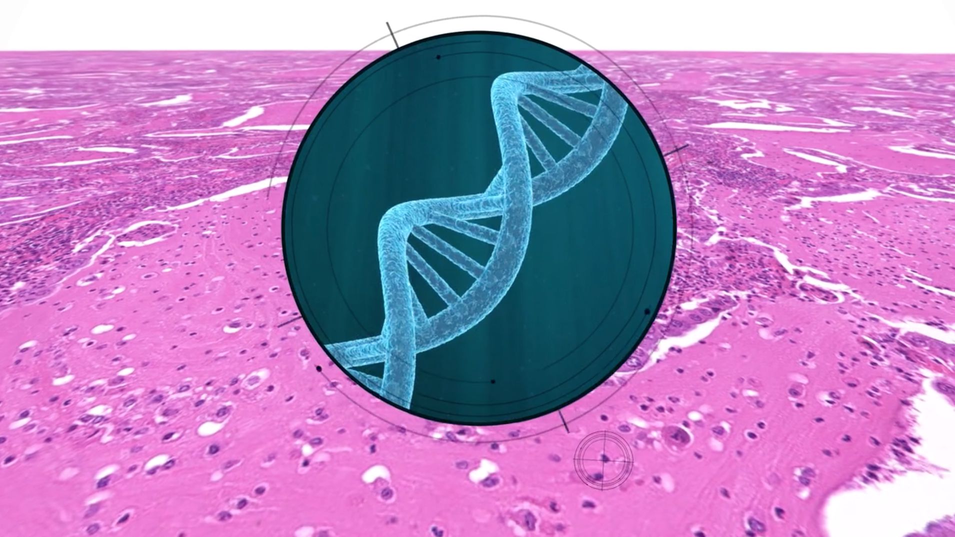 Genomics Education Programme, Header, Tinker Taylor, Animation