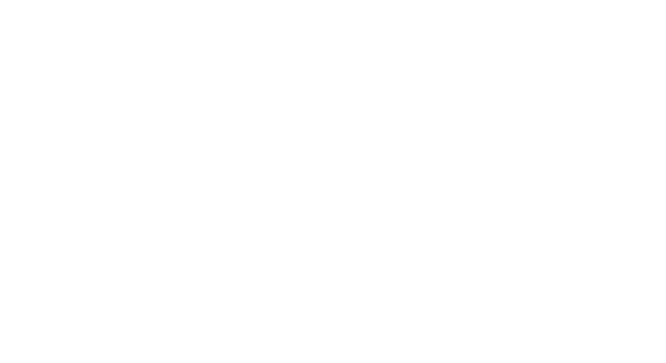 Birmingham City Council client logo