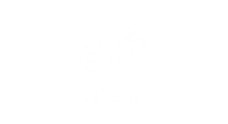 wasps-rfc